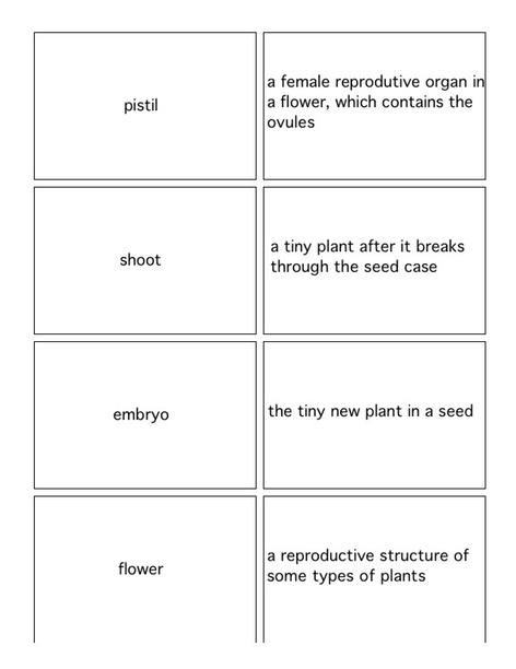 Flashcards